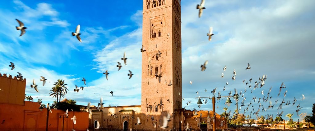 Activities and places to visit in Marrakech