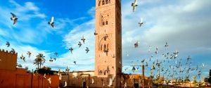 Activities and places to visit in Marrakech
