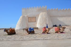 Activities and Places to Visit in Agadir